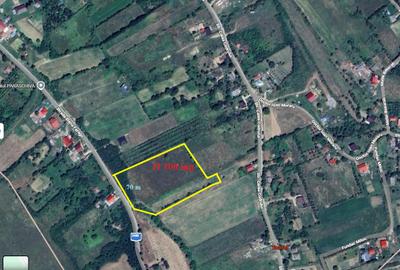 Teren Construcții intravilan de 11100 mp, în Bârnova