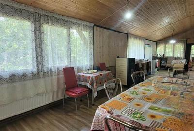 Teren 3100 mp cabana potential investitional Sura Mica Sibiu - 10