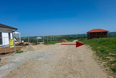 Teren Construcții intravilan de 700 mp, în Săldăbagiu de Munte