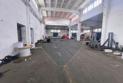 Hala de vanzare Drumul intre Tarlale - Pallady - 1