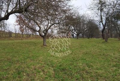 Teren agricol extravilan de 3966 mp, în Budacu de Sus