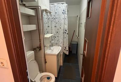 Timpuri Noi-Facultati,garsonieră parc Tineretului - 9
