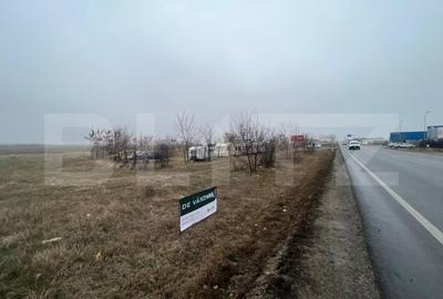 Teren Construcții intravilan de 50000 mp, în Est