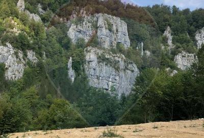 Teren intravilan 1,127mp Remeti / Strada Principala - 10