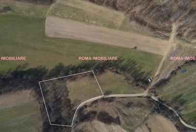 Teren superb de vânzare în Dumbrăvița – 3.750 mp - 8