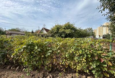 TEREN INTRAVALIN , 927 MP , DESCHIDERE 31 MP, CAPAT CUG-STRADA BAZEI - 2