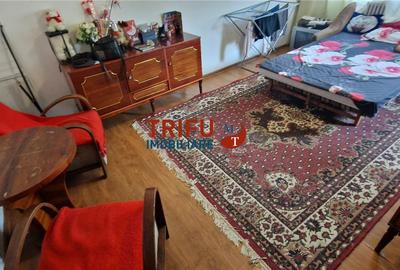 Apartament cu 2 camere decomandat, mobilat în Cetate