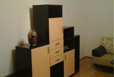 Apartament cu 2 camere nedecomandat, mobilat în Tineretului