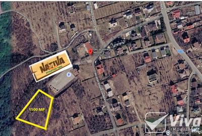 Teren INTRAVILAN cu Pădure-Bucium NATIVA Parc-1500 mp + proiect de casă ! - 1
