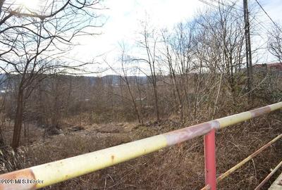 Valea Ursului - DN 7, Teren Stradal 2744 mp - 11
