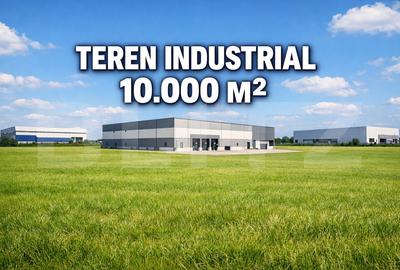 Teren agricol extravilan de 10000 mp, în Pișchia