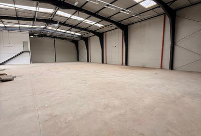 Showroom + hale depozitare centura Nord Chitila - 4