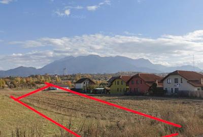 Teren intrare Bran, aproape de Penny, la Drumul European - 9
