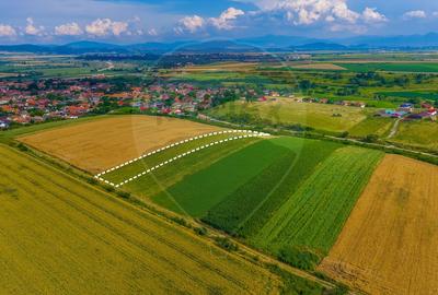 Oportunitate pentru fermieri: 10.800 mp teren arabil în Rotbav, Brașov - 2