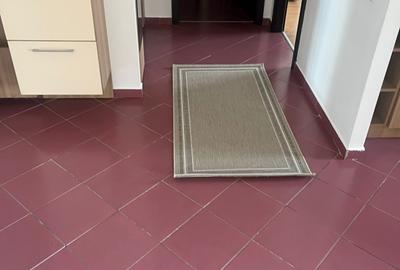 Apartament 2 camere Alphaville Carpaților,mobilat și utilat - 10