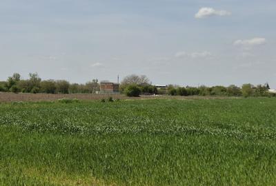 Teren agricol extravilan de 9983 mp, în Berceni