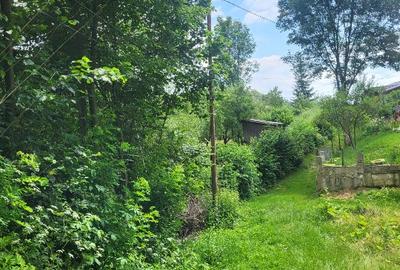 Vanzare 2 terenuri Breaza - 8
