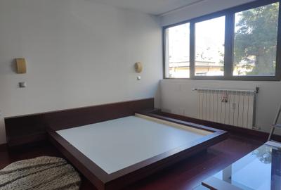 Cismigiu - Calea Victoriei - 3