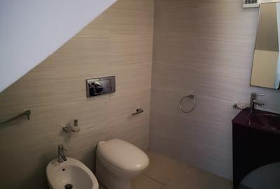 Vila 5 camere/garaj dublu /piscina -  langa British School/ Iancu Nicolae - 13