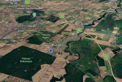 Teren intravilan-Moara Vlasiei 1.008 mp, toate utilitățile, la marginea pădurii - 6