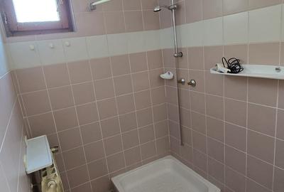 Vanzare vila P+1+M cu 5 camere, casa batraneasca , 2 garaje, teren 9249mp, - 16