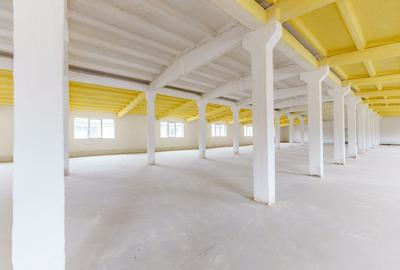 Hală de închiriat Calea Bodrogului 1.000mp - 1