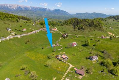 Fundata | Teren de vanzare | 7,656 mp + Cabane tip A Frame - 6