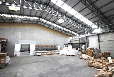 Proprietate pozitie exceptionala, teren 10,000 mp, deschidere DN1 36 ml, hala, b - 11