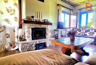 Cabana cu 7 camere de vanzare in Albac - V10073 - 43
