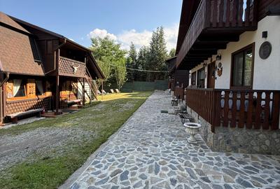 Proprietate de exceptie pe Transfagarasan,la poalele muntilor Fagaras - 21