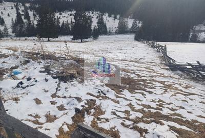 Vand teren intravilan muntele rece - 6