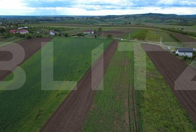 Teren agricol intravilan de 5200 mp, în Șendriceni