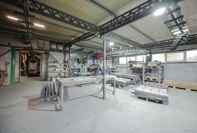 Hală în parc industrial Borș 1, teren 2.903 mp, de vânzare - 45