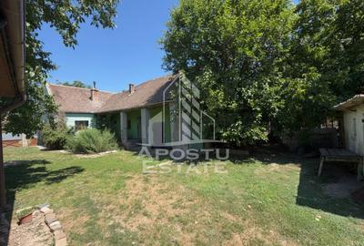 Casa + constructie moderna,de vanzare,2 locuinte,teren 2298 mp Giulvaz - 5