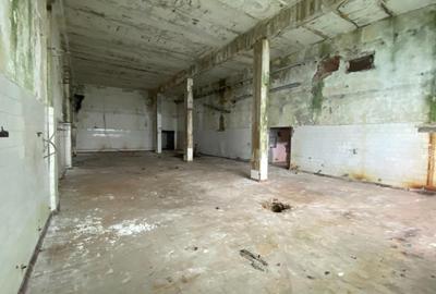 Hale industriale, 30000 mp, teren 65000 mp, zona Podari - 14