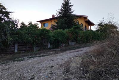 Ciolpani, spre Izvorani - COR, vanzare teren 5000mp. - 10
