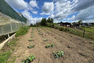 Ofertă de vânzare casă în Bonțida aproape de Castelul Banffy - 20