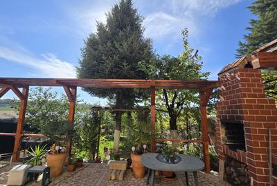 Inchiriere apartament Snagov, teren, ponton, lac - 46