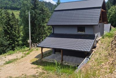 Casa de vanzare in Apuseni - Horea cu 16 000 mp teren - 4