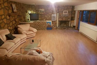 ViLA de LUX  cu un DESIGN deosebit in centrul orasului Nadlac - 5