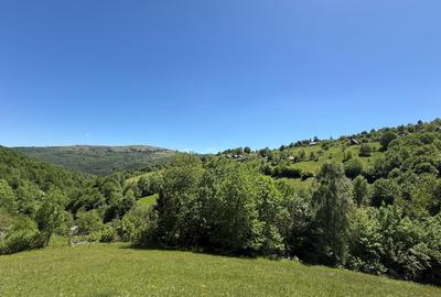 Teren de vânzare în Răchițele – 10.479 mp ! Priveliste panoramica ! - 9