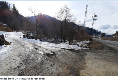 De vanzare teren intravilan 4.500 mp, Timisul de Jos, langa DN1 si PETROM - 5