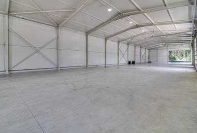 Reprezentanta PREMIUM| Hala Showroom 988mp, locatie exceptionala! - 18