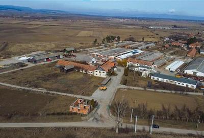 Ansamblu agrozootehnic cu renume,dotat +valoare exceptionala+potential versatil, - 43