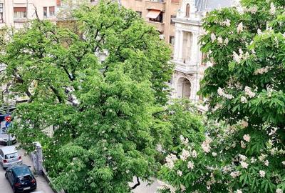 Garsoniera Magheru Ambasada Angliei str. Pitar Mos etaj 4/6 mobilata RS1 - 7