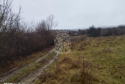 Teren Construcții extravilan de 1000 mp, în Sud-Est