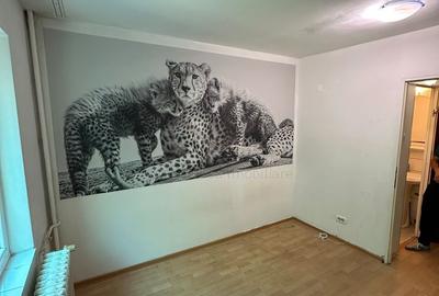 Garsonieră decomandată în Nicolina