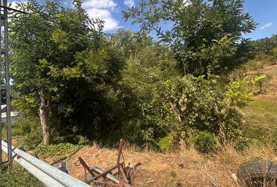 TEREN INTRAVILAN - 2500 MP - Valea Mare- Podgoria - 6