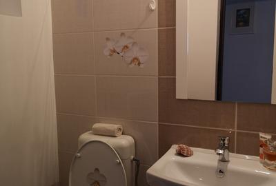 Apartament 3 camere decomandat Parcul Ursu-Racadau,mobilat și utilat - 10