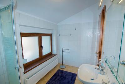 Fully furnished villa in Pipera - 28